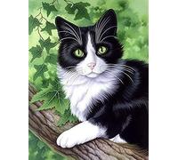 VAIIEYO DIY Diamond Painting Completo Kits Gato, 5D Kit De Pintura De Diamante Animal, Diamantes de Imitación de Diamante Bordado de Punto de Cruz, Manualidades Para Decoración 30X40cm
