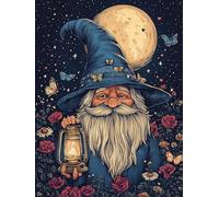 VAIIEYO DIY Diamond Painting Enano, Diamond Painting Kit Completo Dibujos Animados, 5D Pintura Diamante, Diamante de Bordado Manualidades para decoración 30X40cm-5