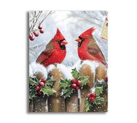 VAIIEYO DIY Diamond Painting Navidad, Diamond Painting Adultos Cardenal, 5D Pintura Diamante, Diamond Art Diamante de Bordado Manualidades para decoración 30X40cm