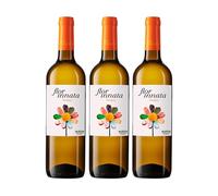 Valdecuevas Nueva Añada Flor Innata Caja de 3, Vino Blanco Verdejo Rueda, 750 ml, Coupage Verdejo y Sauvignon Blanc