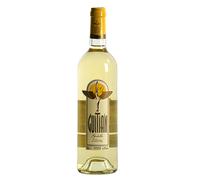Guitian Godello 2022