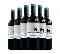 Valderiz Sitio de Valdehermoso Tempranillo Ribera del Duero 75 cl Vino tinto (Caja de 6 Botellas de 75 cl)