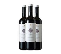 Valderiz Valdehermoso Tempranillo Ribera del Duero Crianza Botella Magnum 1,5 L Vino tinto (Caja de 3 Botella Magnum de 1,5 L)
