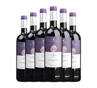 Valderiz Valdehermoso Tempranillo Ribera del Duero Joven 75 cl Vino tinto (Caja de 6 Botellas de 75 cl)