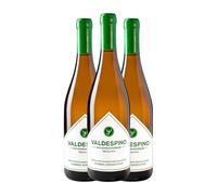 Valdespino Palomino Fino Manzanilla-Sanlúcar de Barrameda 75 cl Vino blanco (Caja de 3 Botellas de 75 cl)
