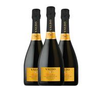 Valdo Elevantum Spumante Glera Prosecco di Valdobbiadene Superiore di Cartizze 75 cl Espumoso blanco (Caja de 3 Botellas de 75 cl)
