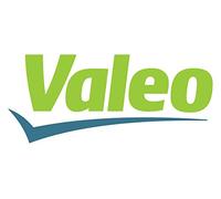Valeo 251273 Conmutador en la columna de dirección