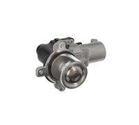 VALEO-703276-Válvula EGR Module-EGR-Module: NO - con bypass de depresión: Tipo de funcionamiento: Eléctrico - Estándar de gases de escape: Euro 4