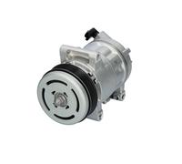 Compresor del aire acondicionado R 134 a PAG 46 813430 VALEO para PEUGEOT OPEL