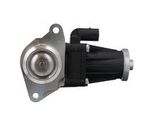 VALEO AGR-Ventil 703209