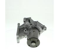 VALEO Bomba de agua para MITSUBISHI: Space Gear, Montero, Pajero, L200 & HYUNDAI: Plaza, H100, Terracan, H1, Galloper, Starex, Satellite (Ref: 506736)
