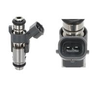 Valeo Inyector de Gasolina 348389