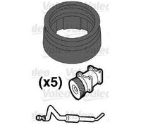 VALEO Junta anular, tubería del líquido refrigerante (Ref: 509554)