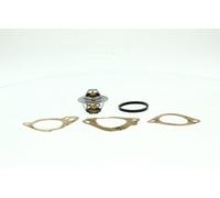 VALEO Termostato, Refrigerante 820290