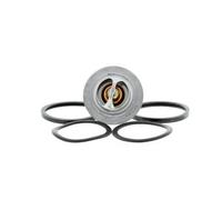 VALEO Termostato, refrigerante para PEUGEOT: 106, 104, Partner, Ranch, 305, 205, 309, 306, 605, 405, 406, 806 & CITROËN: Berlingo, ZX (Ref: 819862)