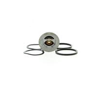 VALEO Termostato, refrigerante para SEAT: Ronda, Cordoba, Malaga, Ibiza, Alhambra, Toledo & VOLKSWAGEN: Sharan, Golf, Golf Cabriolet (Ref: 819946)