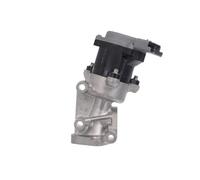 Valeo Válvula EGR 700411