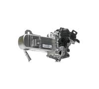 Valeo Válvula EGR 700451