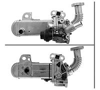 Valeo Válvula EGR 700452