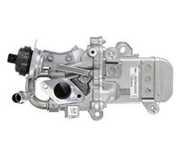 Valeo Válvula EGR 700488