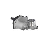 Valeo Válvula EGR 703202