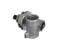 Valeo Válvula EGR 703256