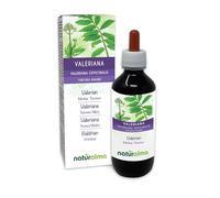 Valeriana (Valeriana officinalis) raíces Tintura Madre sin alcohol Naturalma - Extracto líquido gotas 200 ml - Complemento alimenticio - Vegano