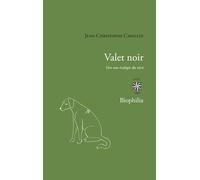 Valet noir: Vers une écologie du récit