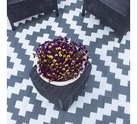 Valiant - Alfombra geométrica para Patio y terraza al Aire Libre, 1,7 m x 0,6 m, Color Gris