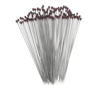 VALICLUD 100 piezas Alfileres de Acero Inoxidable para Montaje de Especímenes de Insectos Fijación Segura y Duradera para Exhibición y Preparación Precisa