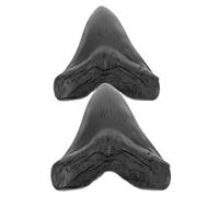 VALICLUD 2piezas De Diente De Megalodón Resina Adorno Fósil Artificial Detallado Decoración Creativa para Coleccionistas y Regalo Paleontológico