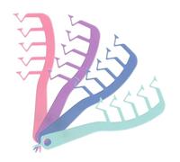 VALICLUD 4 Piezas Peine antiestático de anchos peine mojado para rizos de anchos para cabello rizado o para cabello rizado el plastico