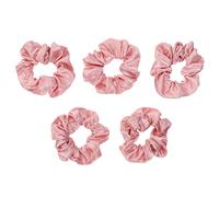 VALICLUD 5 Coleteros de Satén Lisos Pelo, Elásticos Rosas N.º 104, Tamaño Mediano, Goma para Coleta, Accesorios para Mujeres y Niñas, Uso Diario, 5 Piezas