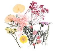 VALICLUD Bolsa de Flores Secas Naturales para Manualidades DIY Material para Decoración de Marcos y Regalos de San Valentín Kit de Flores Secas Inmortales para Hogar Boda y Fiesta 1