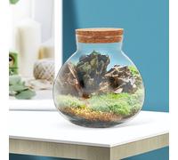 VALICLUD Botella Ecológica de Vidrio Redonda 13 CM con Tapa de Corcho Frasco Sellado Transparente para Terrario Micro Paisaje Hidropónico de Escritorio Contenedor para Suculentas y