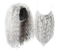 VALICLUD Conjunto de Barba y Peluca Larga Gris para Cosplay de Mago Forro de Malla Transpirable para Halloween Fiestas de Disfraces y Carnaval Accesorio Decorativo para Adultos