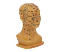 VALICLUD De Cabeza De Acupuntura De De Masaje De Cabeza Para Facial Para Enseñanza