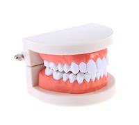 VALICLUD de Dientes Estándar de PVC Herramienta de Demostración para Enseñanza Oral para Niños y Estudiantes Tamaño 92X75X51Mm Comunicación Dentista-