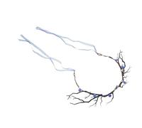 VALICLUD Diadema Astas de Flores y Ramas Simuladas para Cosplay de Ciervo Tocado Natural para Disfraz de Reno Mujer Accesorio Otoñal Frutas y Guirnalda Floral para Fiestas y Mascaradas