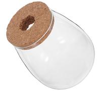 VALICLUD Jarrón Hidropónico para Plantas Grande de Vidrio con Corcho Perforado, Estación de Propagación para Cultivo Acuapónico en Interior, Contenedor Hidropónico Decorativo para Oficina