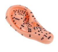 VALICLUD Modelo De Acupuntura Auricular De Silicona Suave Con Puntos De Acupuntura Para Enseñanza De Medicina Oreja Realista Para Masaje y Estudio