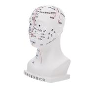 VALICLUD Modelo de Acupuntura de Cabeza Humana Modelo de Puntos de Acupuntura de Cabeza para Masaje Facial Material