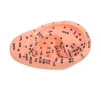 VALICLUD Parche de Masaje para Oídos Modelo de Acupuntura Auricular de Medicina con Puntos de Acupuntura para Simulador de Oído Anatómico Herramienta de Enfermería para Estudio y Práctica D