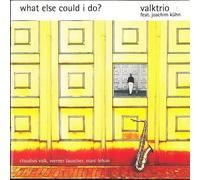 Valktrio - What Else Could I Do