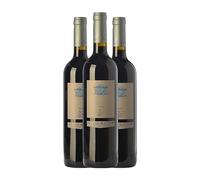 Vall Llach Embruix Priorat Crianza 75 cl Vino tinto (Caja de 3 Botellas de 75 cl)
