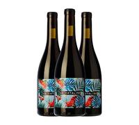 Vall Llach La Catalina Garnacha Priorat Crianza 75 cl Vino tinto (Caja de 3 Botellas de 75 cl)