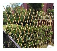 Valla extensible de bambú para plantas trepadoras, panel de enrejado de jardín para vides, hiedra, rosas, color natural, 150 x 200 cm, perfecto para soporte y decoración de plantas