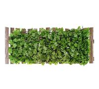 Valla Privacidad Exterior - Pantalla Balcón Extensible Paneles Celosía Duraderos | Decoración Jardín Patio Trasero Terraza Diseño Follaje Fondo Verde Seto Artificial Ocultación