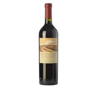 Adrianna Vineyard Mundus Bacillus Terrae 2018 - Catena Zapata