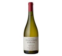 Valle de Uco Zuccardi Polígono Tupungato Sémillon 2024